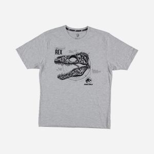 Camiseta para hombre gris manga corta de Jurassic World fit regular