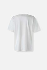 238249-camiseta-hombre-one-piece-camiseta-iconica-4